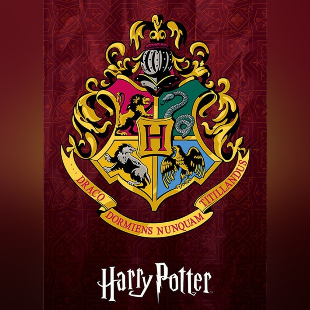 Having a great mystery bag steal of a deal. 500 worth Harry Potter items